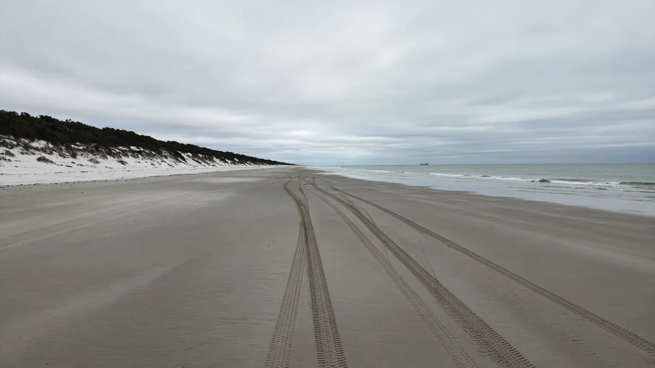 Packed wet sand, tyre tracks and dunes along Bribie Island Ocean Beach